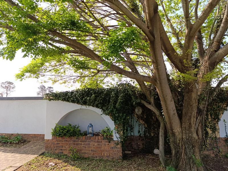 4 Bedroom Property for Sale in Middelburg Eastern Cape